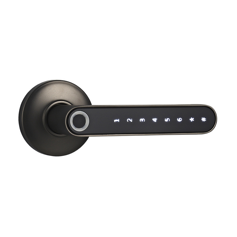 Smart Lock Fingerprint Password Electric Digital Lock Alloy Keyless Security Door Handle For Home - Image 2