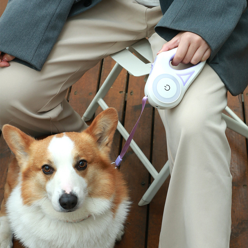 Dog Leash Retractable Leash And Dog Collar Spotlight Automatic Pet Dog Cat Traction Rope For Small Medium Dogs Pet Product - Image 4